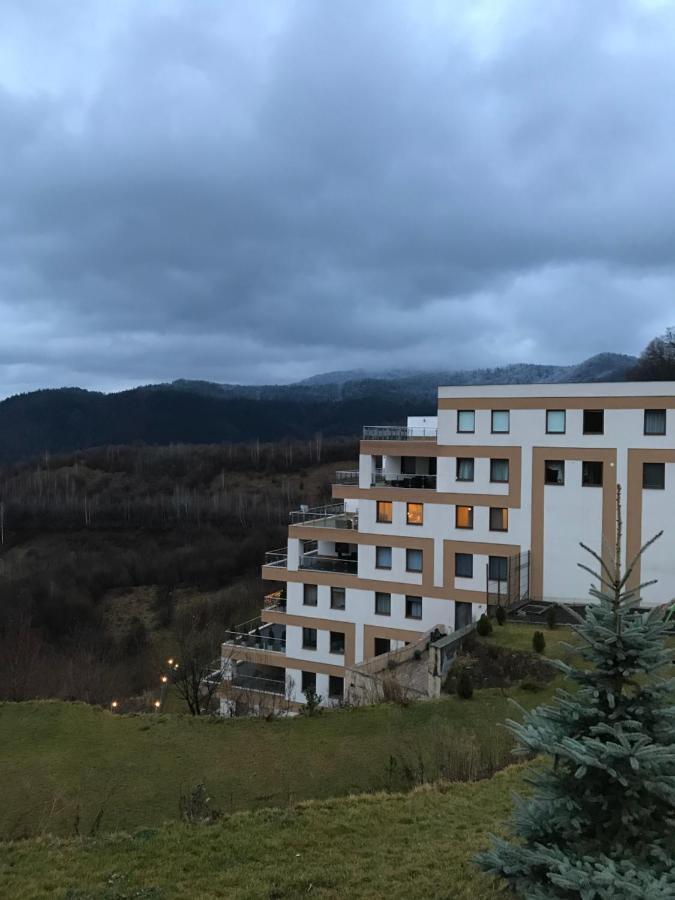 White Season Residence Braşov Dış mekan fotoğraf